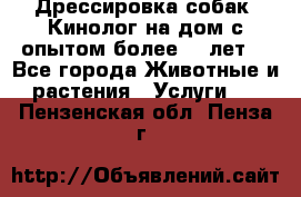 Дрессировка собак (Кинолог на дом с опытом более 10 лет) - Все города Животные и растения » Услуги   . Пензенская обл.,Пенза г.